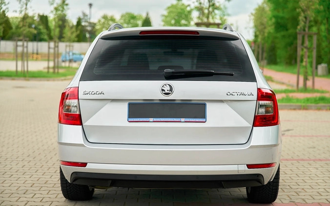 Skoda Octavia cena 55900 przebieg: 205000, rok produkcji 2017 z Płock małe 781